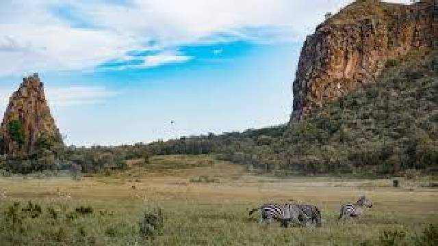 Wild Kenya